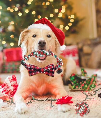مجموعة جوارب عيد الميلاد مع مجموعة ألعاب - قطيفة تصدر صوتًا، قابلة للمضغ، كرة حبل بتصميم عيد الميلاد للكلاب الصغيرة والمتوسطة in Kuwait