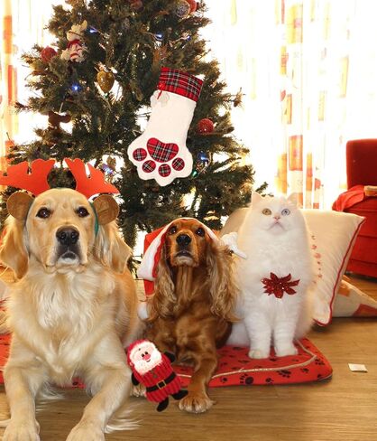 مجموعة جوارب عيد الميلاد مع مجموعة ألعاب - قطيفة تصدر صوتًا، قابلة للمضغ، كرة حبل بتصميم عيد الميلاد للكلاب الصغيرة والمتوسطة in Kuwait