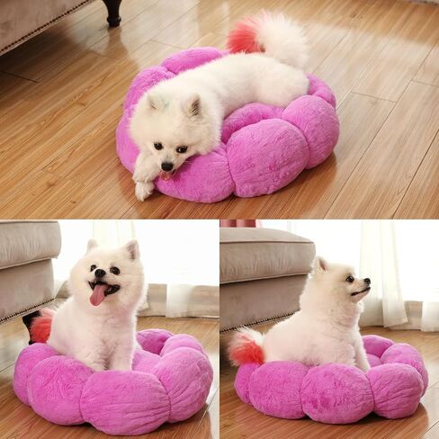 Calming Cat Bed Anti Anxiety Donut Dog Bed Cat Beds for Indoor Cats Fluffy Cute Pet Bed Anti-Slip for Indoor Cats,Machine Washable,23 * 23inch Pink in Saudi Arabia