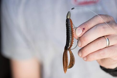 Berkley PowerBait Pit Boss in Kuwait