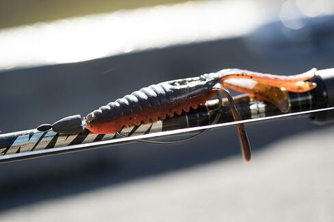 Berkley PowerBait Pit Boss in Kuwait