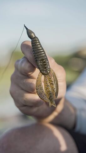 Berkley PowerBait Pit Boss in Kuwait