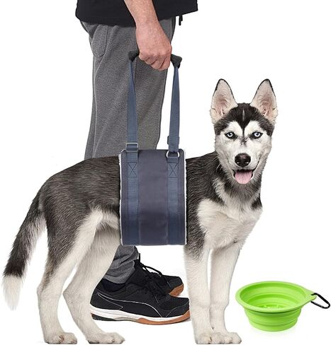 حزام رفع الكلاب من ATESON، حبال للكلاب لدعم الساق الخلفية - حزام دعم للكلاب للأرجل الخلفية مع وعاء للكلاب وأوعية قابلة للطي للحيوانات الأليفة in Kuwait