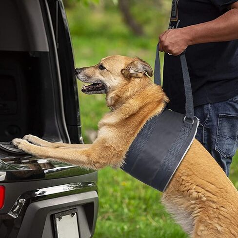 حزام رفع الكلاب من ATESON، حبال للكلاب لدعم الساق الخلفية - حزام دعم للكلاب للأرجل الخلفية مع وعاء للكلاب وأوعية قابلة للطي للحيوانات الأليفة in Kuwait