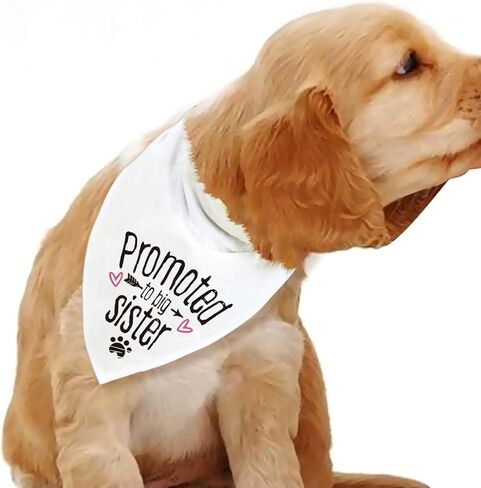 بلو ليفز باندانا بروموتيد تو بيج سيستر للكلاب in Kuwait