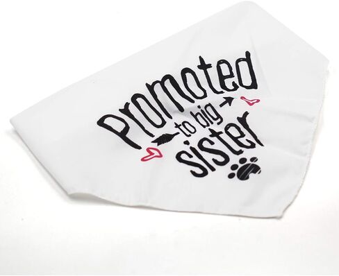 بلو ليفز باندانا بروموتيد تو بيج سيستر للكلاب in Kuwait