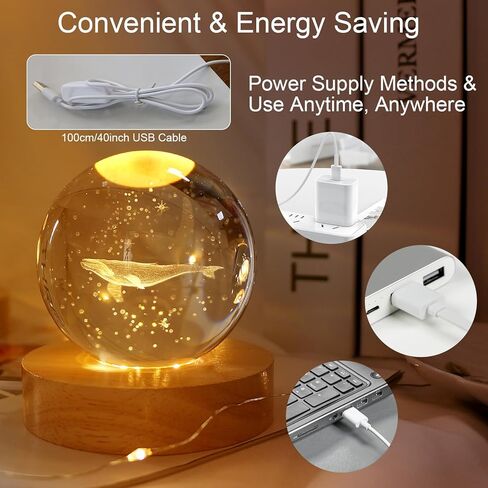 LACGO 4 قطع قواعد إضاءة خشبية مستديرة - حامل عرض LED مقاس 3 بوصات مع قواعد مستديرة مضاءة باللون الأبيض الدافئ للركائز الفنية الزجاجية ثلاثية الأبعاد لغرفة الكرة الكريستالية وديكور المنزل والمقهى in Kuwait