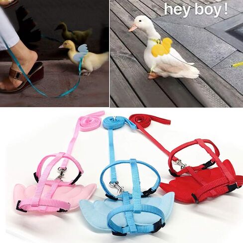 Bonaweite Pet Cole Duck خارج المشي تسخير المقود، قابل للتعديل في الهواء الطلق حبل الجر التدريب لدجاجة الأوز الدجاج in Kuwait