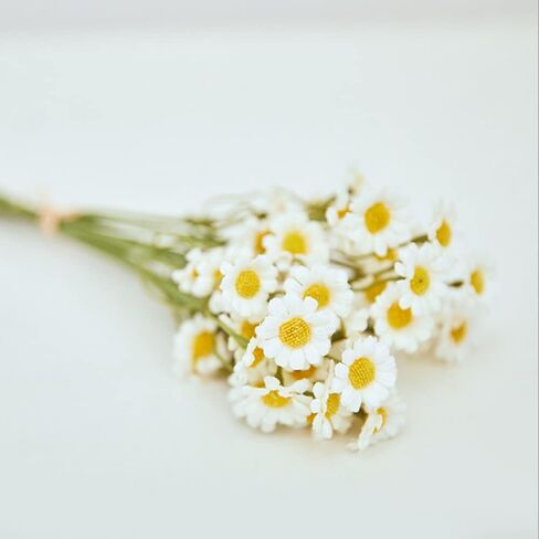 XIZHI 18 Bundles Artificial Daisy Flowers 180 Heads Fake Brazilian Daisy Bouquets Pastoral Style for Home Table Garden Window Wedding Indoor Outside Decoration (White) in Saudi Arabia