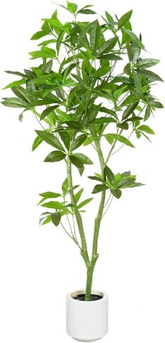 Waoops Artificial Tree 5.3Ft Pachira Macrocarpa Money Tree in Pot Fake Plant Faux Tree for Office Decor Indoor or Outdoor Home Decoration Housewarming Gift in Kuwait