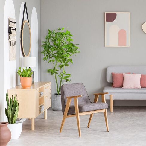 Waoops Artificial Tree 5.3Ft Pachira Macrocarpa Money Tree in Pot Fake Plant Faux Tree for Office Decor Indoor or Outdoor Home Decoration Housewarming Gift in Kuwait