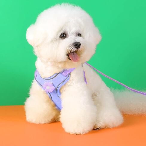 Hariendny Reflective Adjustable Pet Harness, Dog Harness and Leash for Small Medium Dogs, No Pull Step-in Puppy Harness with Breathable Mesh and Quick-Release Buckle for Puppy(S) in Saudi Arabia