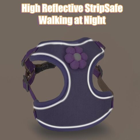 Hariendny Reflective Adjustable Pet Harness, Dog Harness and Leash for Small Medium Dogs, No Pull Step-in Puppy Harness with Breathable Mesh and Quick-Release Buckle for Puppy(S) in Saudi Arabia