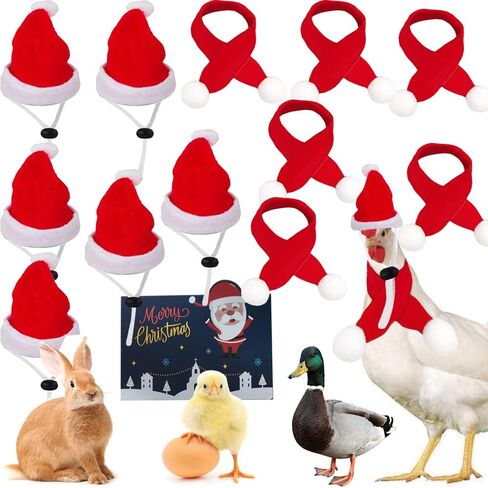 12 Pieces Chicken Christmas Hats Scarf Red Santa Hat Cloak and Scarf Pet Costumes with Adjustable Chin Strap for Hens Duck Rabbit Kitten Christmas Supplies in Saudi Arabia