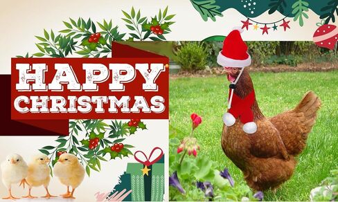 12 Pieces Chicken Christmas Hats Scarf Red Santa Hat Cloak and Scarf Pet Costumes with Adjustable Chin Strap for Hens Duck Rabbit Kitten Christmas Supplies in Saudi Arabia