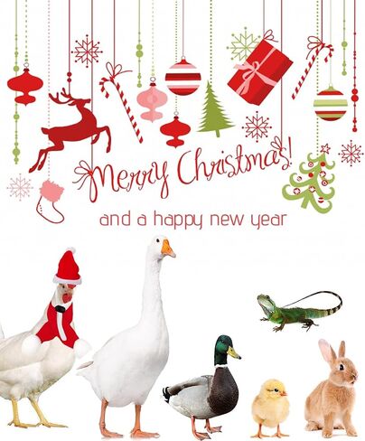 12 Pieces Chicken Christmas Hats Scarf Red Santa Hat Cloak and Scarf Pet Costumes with Adjustable Chin Strap for Hens Duck Rabbit Kitten Christmas Supplies in Saudi Arabia