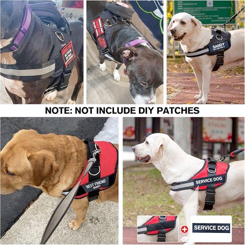 BEAUTYZOO الكلب تسخير للكلاب المتوسطة الكبيرة لا سحب، تسخير الكلب والمقود مجموعة مع مقبض مبطن، لا خنق الخدمة الثقيلة الكلب يسخر سترة حجم M L XL، عاكس سترة تسخير قابل للتعديل in Kuwait