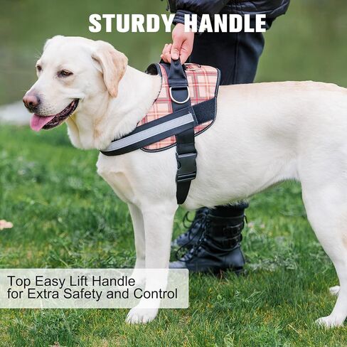 BEAUTYZOO الكلب تسخير للكلاب المتوسطة الكبيرة لا سحب، تسخير الكلب والمقود مجموعة مع مقبض مبطن، لا خنق الخدمة الثقيلة الكلب يسخر سترة حجم M L XL، عاكس سترة تسخير قابل للتعديل in Kuwait