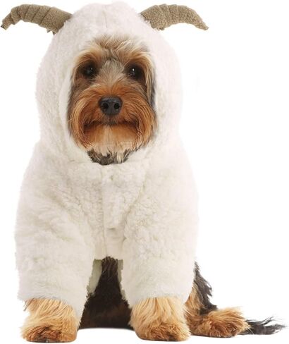 زي Queenmore للهالوين للكلاب الصغيرة، معطف بغطاء للرأس من الصوف الناعم للحيوانات الأليفة، زي ماعز الرنة لعيد الميلاد للكلاب الصغيرة، الشيواوا، اليوركشاير، كلب صغير طويل الشعر، كلاب بودل الشاي (بني، M) in Kuwait
