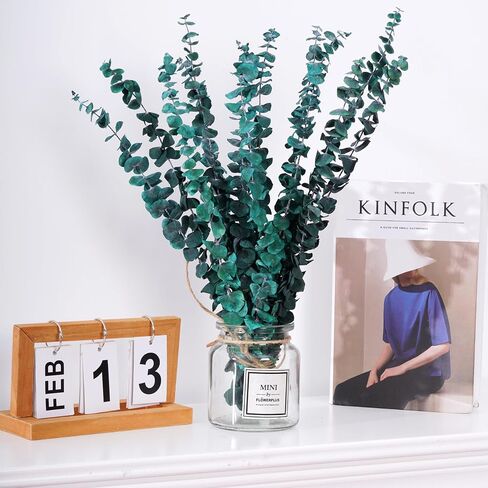 12 قطعة من سيقان الأوكالبتوس المجففة، 17 بوصة دش نبات الأوكالبتوس الطبيعي، دش معلق للديكور المنزلي in Kuwait