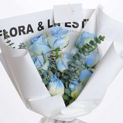 12 قطعة من سيقان الأوكالبتوس المجففة، 17 بوصة دش نبات الأوكالبتوس الطبيعي، دش معلق للديكور المنزلي in Kuwait