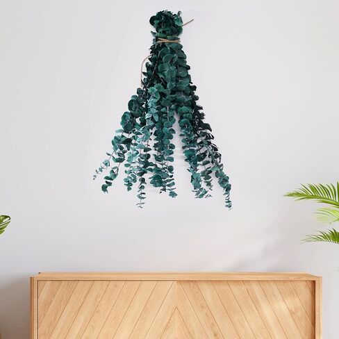 12 قطعة من سيقان الأوكالبتوس المجففة، 17 بوصة دش نبات الأوكالبتوس الطبيعي، دش معلق للديكور المنزلي in Kuwait