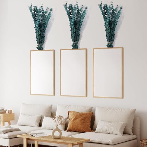 12 قطعة من سيقان الأوكالبتوس المجففة، 17 بوصة دش نبات الأوكالبتوس الطبيعي، دش معلق للديكور المنزلي in Kuwait