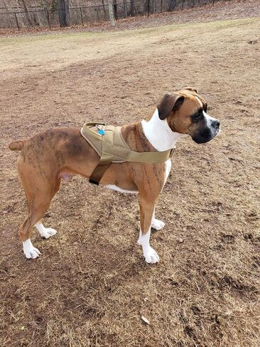 سرج JiePai التكتيكي للكلاب الكبيرة بدون سحب، سرج الكلاب العسكري (أسود، L) in Kuwait