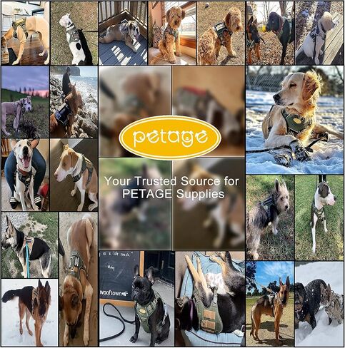 PETAGE Tactical Service Dog Harness No Pull, Reflective Military Dog Harness with Handle, Service Dog Vest for Training, Adjustable Working Pet Vest Easy Control for Small Medium Large Dogs (Blue-S) in Kuwait