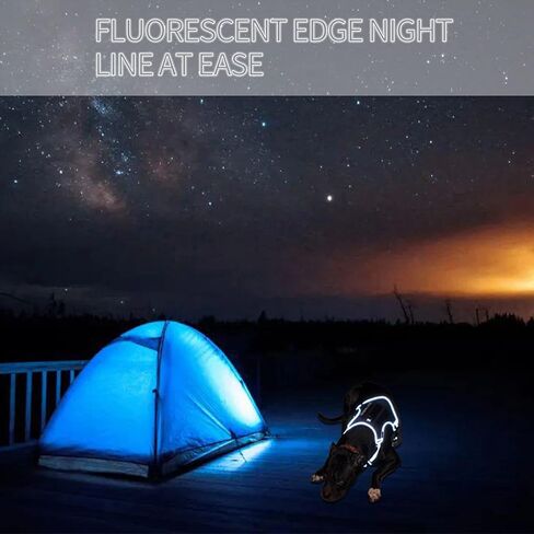 PETAGE Tactical Service Dog Harness No Pull, Reflective Military Dog Harness with Handle, Service Dog Vest for Training, Adjustable Working Pet Vest Easy Control for Small Medium Large Dogs (Blue-S) in Kuwait