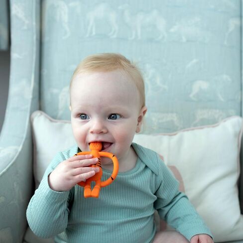 Matchstick Monkey Animal Silicone Teether for Baby 3 Months+, Easy to Hold & Naturally Fits in Mouth, BPA Free Food Grade w/BioCote Protection, Stimulates & Massages Sore Gums, Teddy Tiger in Kuwait