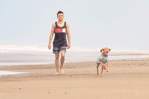 RC Pet Products Zephyr Cooling Dog Vest, Cooling Dog Coat, Small, Ice Blue in Saudi Arabia