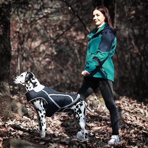 VIVAGLORY معطف الشتاء الدافئ للكلاب، عاكس للسلامة، صوف مريح قابل للتعديل، قماش للطقس البارد، مقاوم للماء، مقاوم للرياح، مقاوم للثلوج، سترات للكلاب، ملابس للحيوانات الأليفة للكلاب الصغيرة، أسود، مقاس S in Kuwait