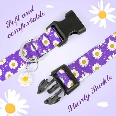 BiPawTi Floral Dog Collar for Girl Boy - Dog Collars Cute Flower Puppy Collar for Extra Small Dog, Soft Adjustable Dogs Collar for Small Dogs with Pretty Daisies Charms (XS, Purple) in Kuwait