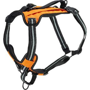 PetSafe Walk-Along Outdoor Dog Harness, No-Pull Solution, Water-Resistant, Zippered Pouch for Storage, Built-in Car Restraint, Small