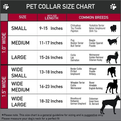 Buckle-Down Seatbelt Buckle Dog Collar - Ariel/Flounder/Fish Trio Poses Pinks - 1" Wide - Fits 15-26" Neck - Large in Saudi Arabia