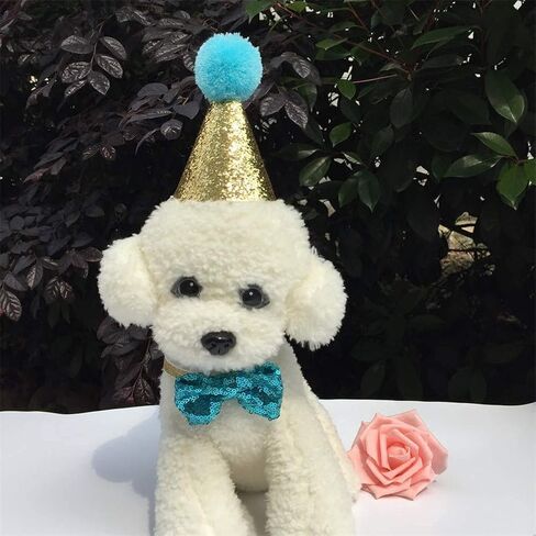 2 Pcs Birthday Hat, Pet Cat Dog Birthday Caps Reusable Headwear Bowknot Party Costume Perfect Dog or Puppy Birthday Gift (Blue) in Saudi Arabia