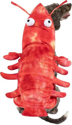 زي جراد البحر للكلاب من Rypet أزياء الهالوين المضحكة للكلاب الصغيرة ملابس الشتاء L in Kuwait