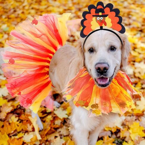Riceshoot 6 Pcs Thanksgivings Dog Costume Set Thanksgiving Dog Tutu Turkey Headband with Elastic Turkey Decorative Dog Collar, Dog Turkey Outfit Thanksgiving PET Clothes for Medium Large Dogs Pet in Saudi Arabia