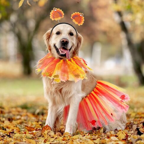 Riceshoot 6 Pcs Thanksgivings Dog Costume Set Thanksgiving Dog Tutu Turkey Headband with Elastic Turkey Decorative Dog Collar, Dog Turkey Outfit Thanksgiving PET Clothes for Medium Large Dogs Pet in Saudi Arabia
