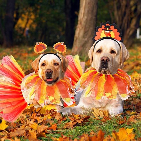 Riceshoot 6 Pcs Thanksgivings Dog Costume Set Thanksgiving Dog Tutu Turkey Headband with Elastic Turkey Decorative Dog Collar, Dog Turkey Outfit Thanksgiving PET Clothes for Medium Large Dogs Pet in Saudi Arabia