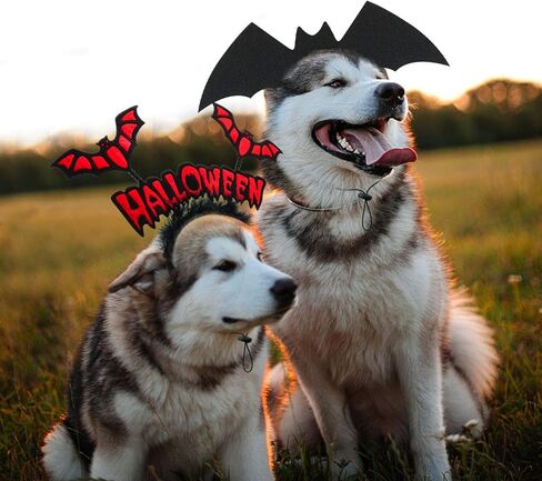 RYPET Dog Bat Costume 2PCS - Dog Bat Wings Headband Halloween Dog Costumes for Medium and Large Dogs in Kuwait