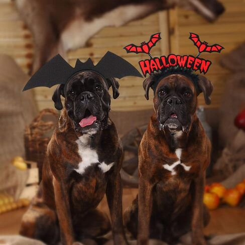 RYPET Dog Bat Costume 2PCS - Dog Bat Wings Headband Halloween Dog Costumes for Medium and Large Dogs in Kuwait