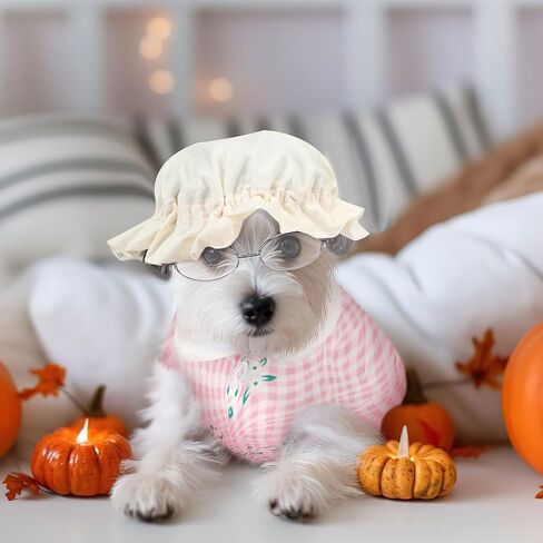 Sweetude 4 Pieces Old Lady Costume for Dog Grandma Dogs Costume with Pink Floral Dog Dress Old Lady Pets Wig Funny Dog Cat Retro Sunglasses Lace Sunbonnet for Halloween Riding Hood Pet Costume in Saudi Arabia