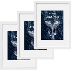 GOLDCJBRO 12x16 Inch Picture Frames，Set of 3 Wooden Picture Frames, Photo Frames Bulk for Wall or Tabletop Display Decoration，White in Saudi Arabia