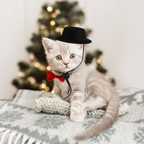 Balacoo 2Pcs Hamster Hat and Bowtie Set Guinea Pig Hat with Bow Tie Bowtie Dog Collar Small Pet Bowtie Top Cap Funny Pet Costume for Lizard Rabbit Hedgehog Black in Saudi Arabia
