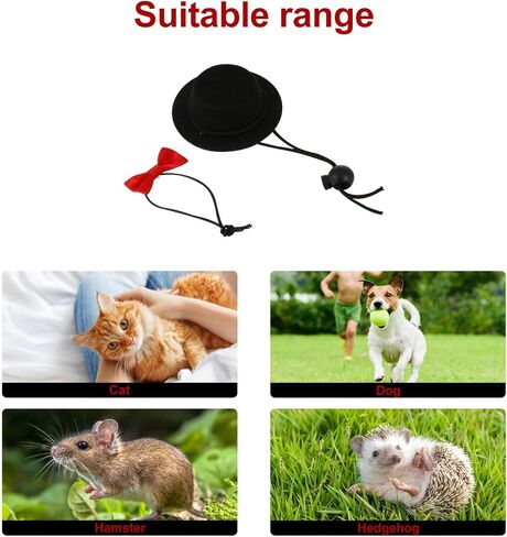 Balacoo 2Pcs Hamster Hat and Bowtie Set Guinea Pig Hat with Bow Tie Bowtie Dog Collar Small Pet Bowtie Top Cap Funny Pet Costume for Lizard Rabbit Hedgehog Black in Saudi Arabia