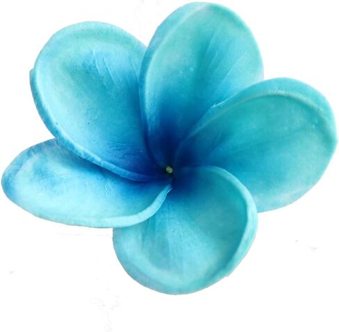 10 قطع من Xilyya ذات ملمس حقيقي طبيعي ورأس زهور بلوميريا صناعية وليست حريرية مع جذع لتزيين الكعك بنفسك وباقات الزفاف (مشمش) in Kuwait