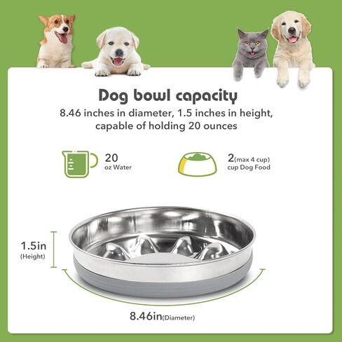 وعاء تغذية بطيء للكلاب من كيتجو مصنوع من الفولاذ المقاوم للصدأ مع قاعدة من السيليكون غير قابلة للانزلاق، وعاء ماء للكلاب مناسب لسلالات الكلاب الصغيرة والمتوسطة، وعاء على شكل مخلب كلب in Kuwait