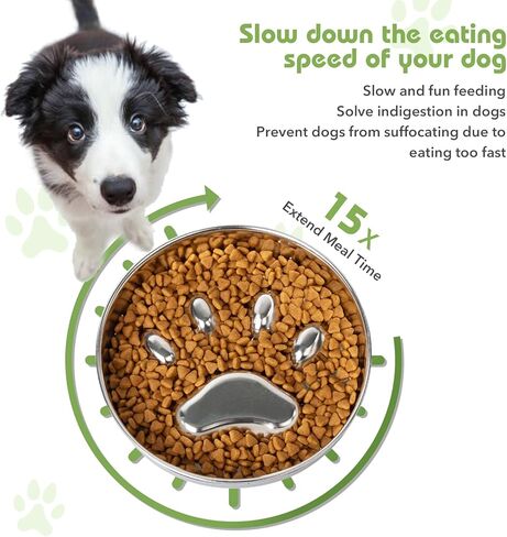 وعاء تغذية بطيء للكلاب من كيتجو مصنوع من الفولاذ المقاوم للصدأ مع قاعدة من السيليكون غير قابلة للانزلاق، وعاء ماء للكلاب مناسب لسلالات الكلاب الصغيرة والمتوسطة، وعاء على شكل مخلب كلب in Kuwait